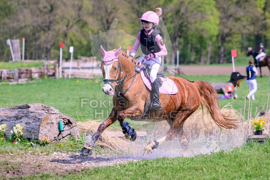 18042026-Gernlinden-01-1-0286 | Fokus Hufschlag Fotografie - Realisiert mit Pictrs.com
