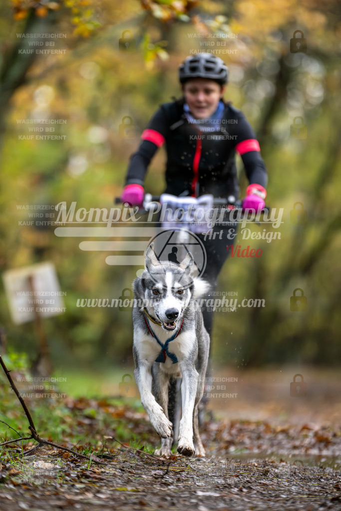 MompixPhotography_Bischwiller23_DS1-5 | PayLife