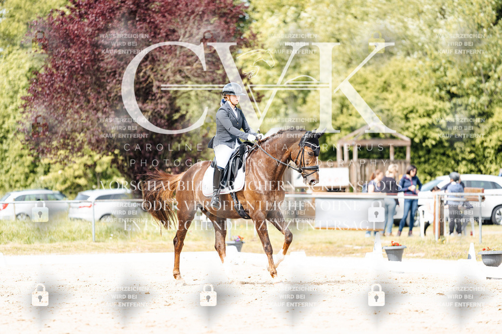 CK901344 | Turnierfotografie Pferdefotografie Trier Rheinland-Pfalz Pferdesport Reitsport Tierfotografie Sportfotografie Pferdevideo Pferdevideografie Equestrianvideography equestrianphotography  - Realisiert mit Pictrs.com