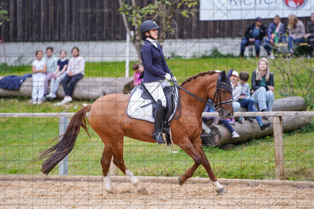 20231007-SN_00799 | Professionelle Turnier- und Reitsportfotografie - mit dem Finger am Auslöser. Pferdebilder aus dem Reitsport von den Turnierfotografen  Bayern , Pferdefotograf Bayern, Pferdeshooting Turnierbilder, Hochzeitsfotograf, Eventfotograf, Hochzeitsbilder