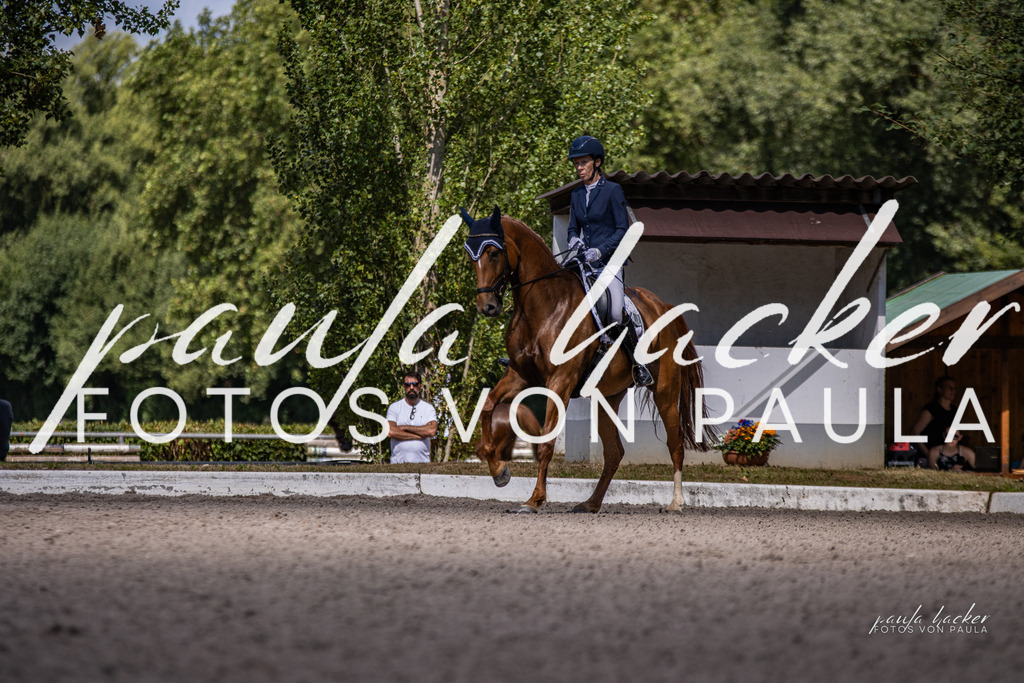 IMG_8070 | Erleben Sie dynamische Sport- und emotionale Tierfotografie in Süddeutschland mit Fotos von Paula. Spezialisiert auf Pferde- und Hundefotografie sowie Sportevents. Kontaktieren Sie mich für einzigartige und ausdrucksstarke Bilder Ihrer besonderen Momente.