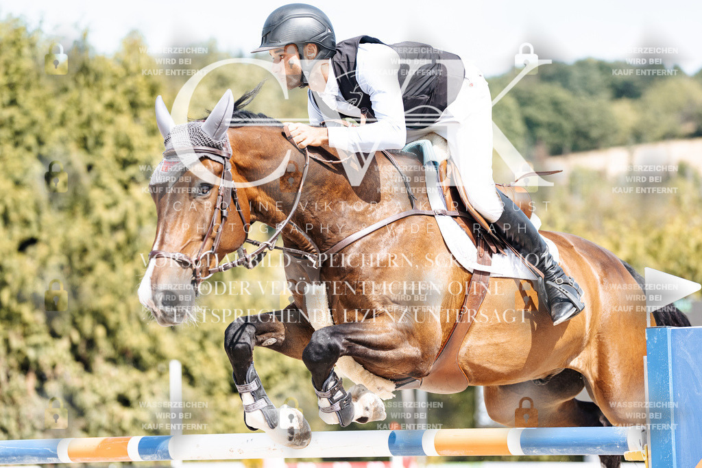 CK905120 | Turnierfotografie Pferdefotografie Trier Rheinland-Pfalz Pferdesport Reitsport Tierfotografie Sportfotografie Pferdevideo Pferdevideografie Equestrianvideography equestrianphotography  - Realisiert mit Pictrs.com