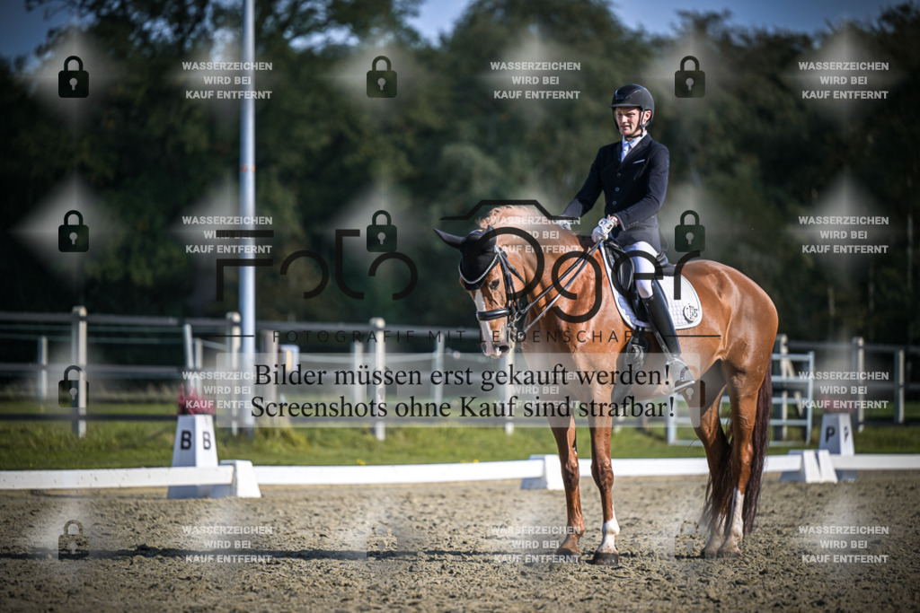DOS_3407 | Entdecke hochwertige Reitturnierfotos von Foto Oger. Professionell, emotional und authentisch – jetzt Lieblingsmomente im Shop bestellen.Deutschlandweite Turnierfotografie. - Realisiert mit Pictrs.com