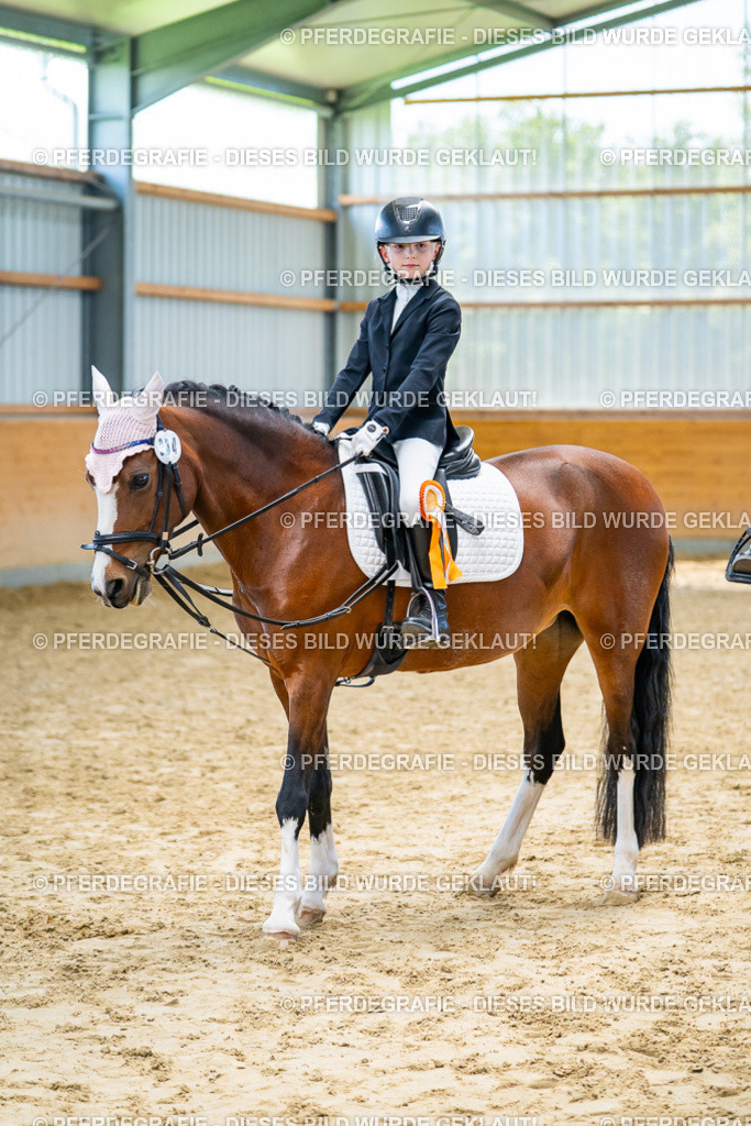 DSC01167 | Pferdegrafie