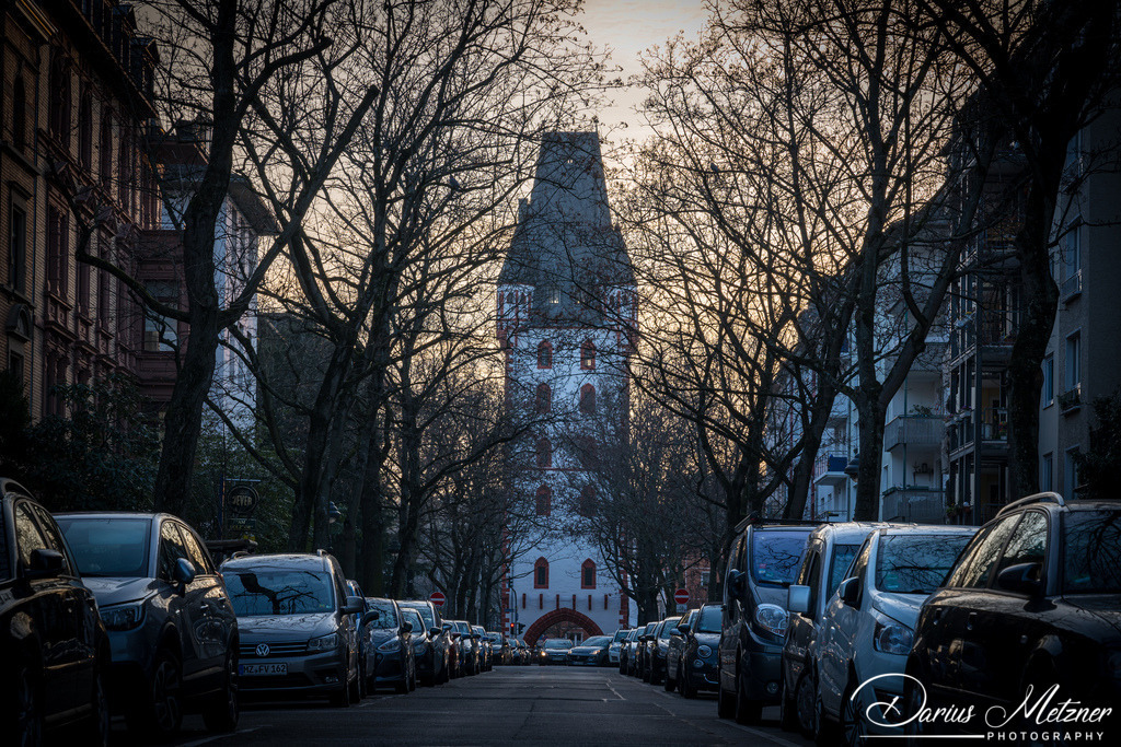 Der Mainzer Holzturm | Der Mainzer Holzturm