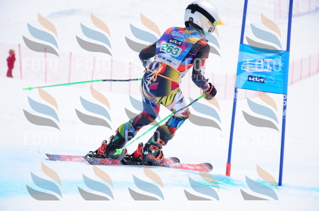 DSC_2514 | holidayphoto