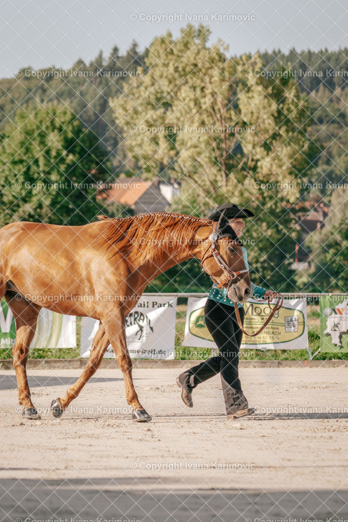 DSC05267 | ikphotography - Realisiert mit Pictrs.com