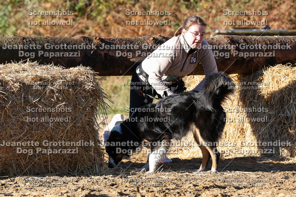 Dog Paparazzi - Strongdog 10-25-1571 | Dog Paparazzi Jeanette Grottendiek Fotografie & Videografie - Realisiert mit Pictrs.com