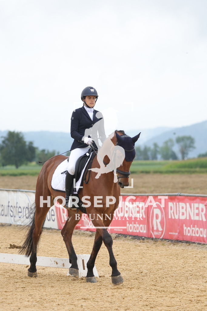 0P6A9712 | Willkommen bei Brunnmayr - Design & Fotografie – Ihrem Spezialisten für Reitturniere und Pferdeveranstaltungen in Oberösterreich, Salzburg und Bayern! Seit über 17 Jahren sind wir leidenschaftlich dabei.