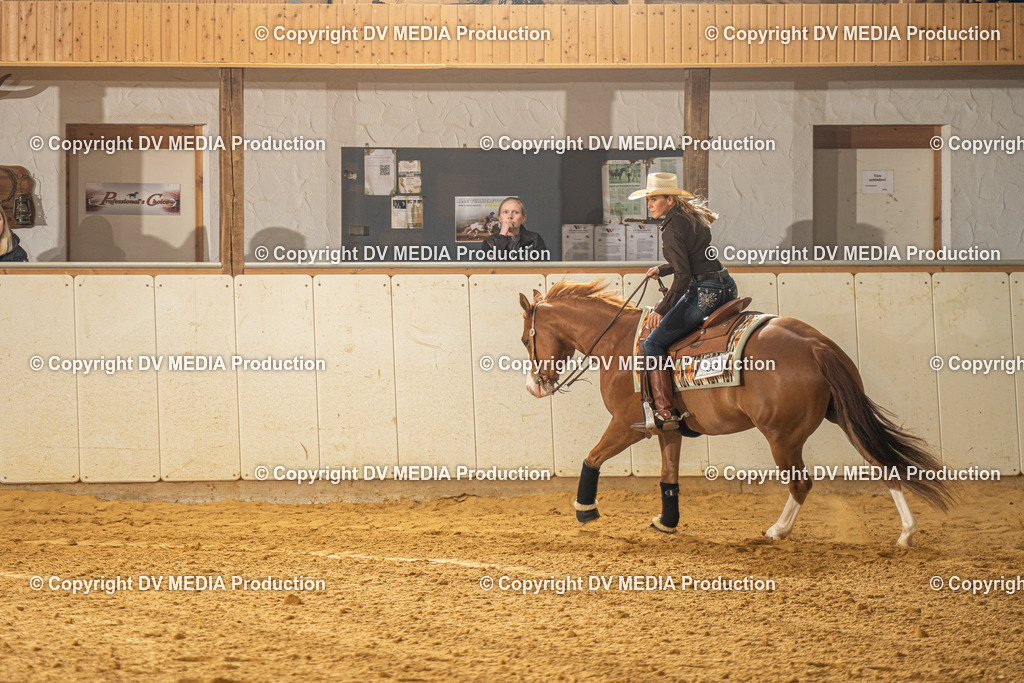 MIT00647 | dv-media-shop - Realisiert mit Pictrs.com