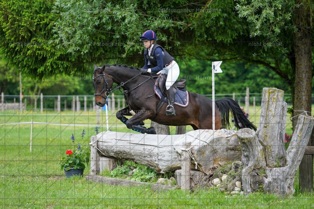20240518-FAH03658 | Turnierbilder von Niederseon, Turnierfotografen Bayern, Fotoagentur Herrmann, Geländebilder, Reitsportfotografie