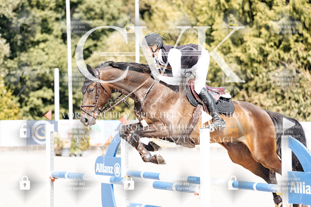 CK901815 | Turnierfotografie Pferdefotografie Trier Rheinland-Pfalz Pferdesport Reitsport Tierfotografie Sportfotografie Pferdevideo Pferdevideografie Equestrianvideography equestrianphotography  - Realisiert mit Pictrs.com