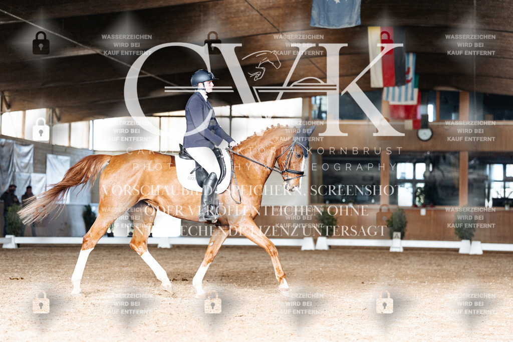 CK902788 | Turnierfotografie Pferdefotografie Trier Rheinland-Pfalz Pferdesport Reitsport Tierfotografie Sportfotografie Pferdevideo Pferdevideografie Equestrianvideography equestrianphotography  - Realisiert mit Pictrs.com