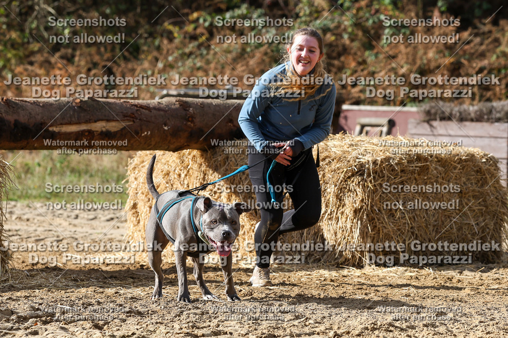 Dog Paparazzi - Strongdog 10-25-4986 | Dog Paparazzi Jeanette Grottendiek Fotografie & Videografie - Realisiert mit Pictrs.com