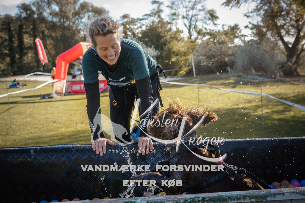 1204_ZZ94526 | kk-dogfotos