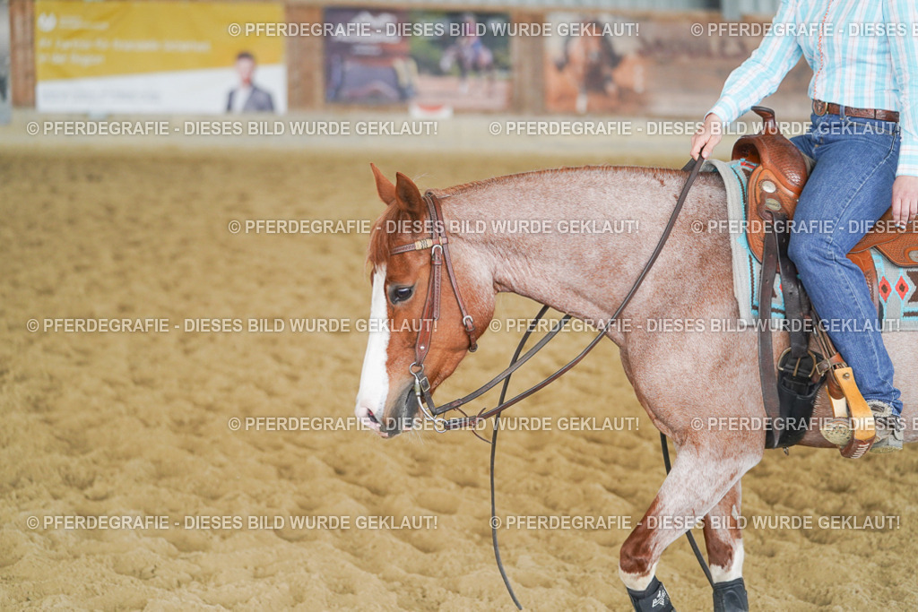 DSC05682 | Pferdegrafie