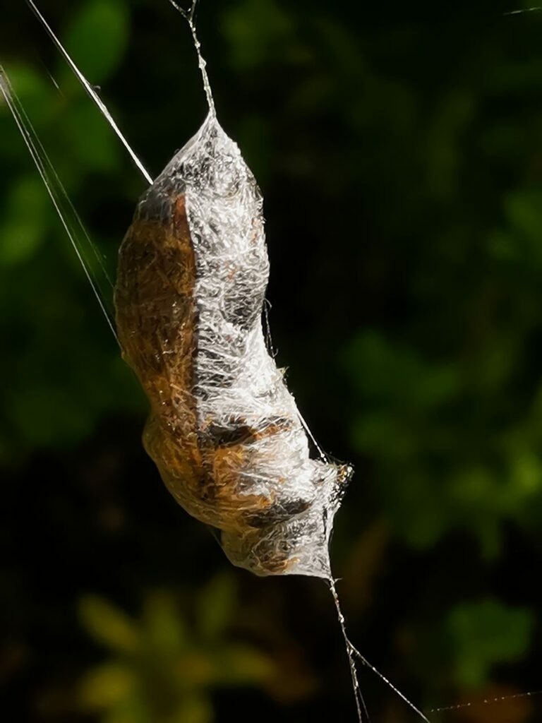 PSX_20221004_224845 | mtkfoto_ - Realisiert mit Pictrs.com