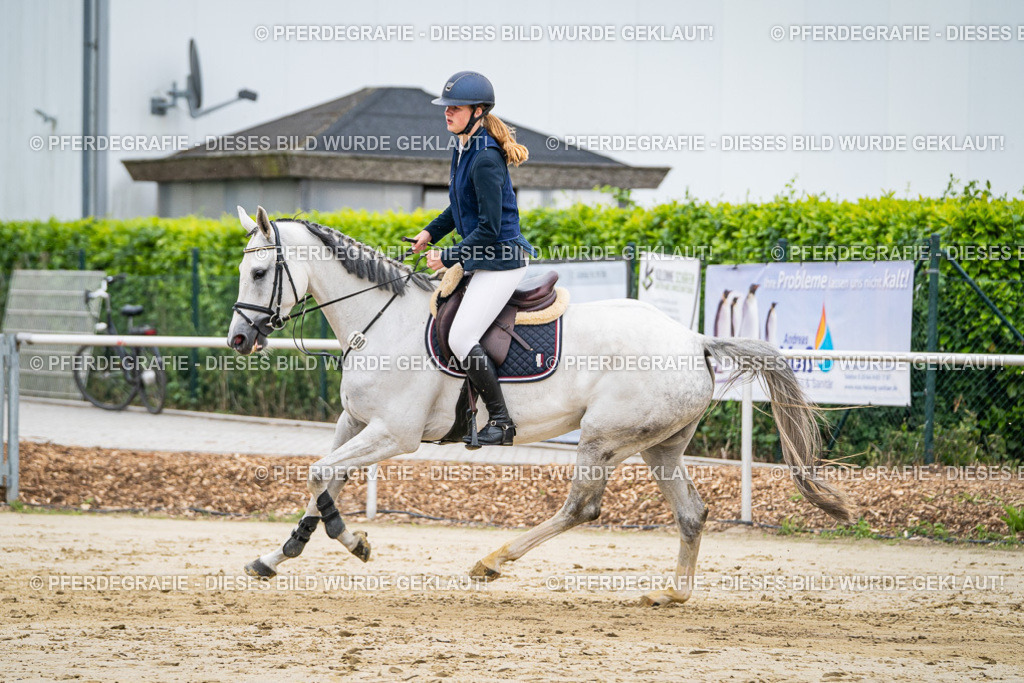 DSC09726 | Pferdegrafie