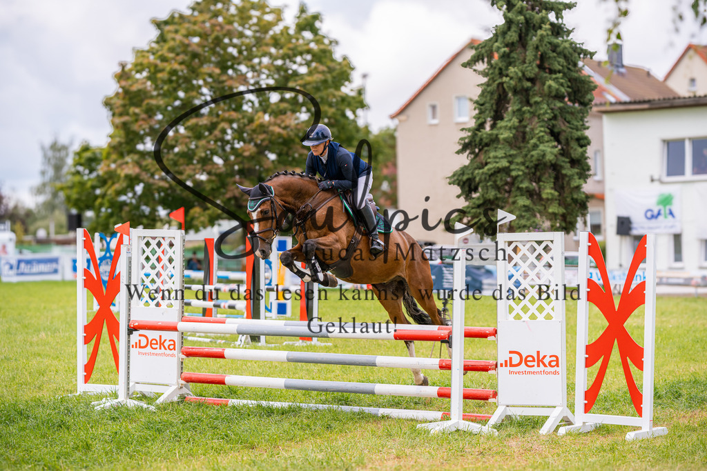 A7V03914 | Pferdefotograf