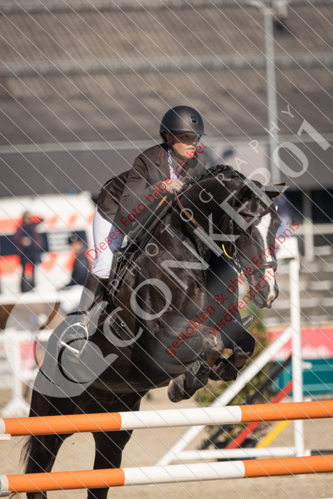 IMG_3071 | Sport-, Event- und Tierfotos in Profiqualität. Einfach auswählen, bestellen und herunterladen. Dein Moment – perfekt festgehalten.