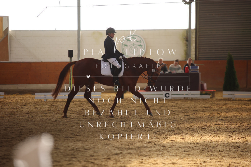 IMGT6872 | pl-fotografie