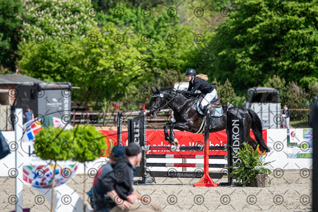 KPT_4944 | andre_photographic