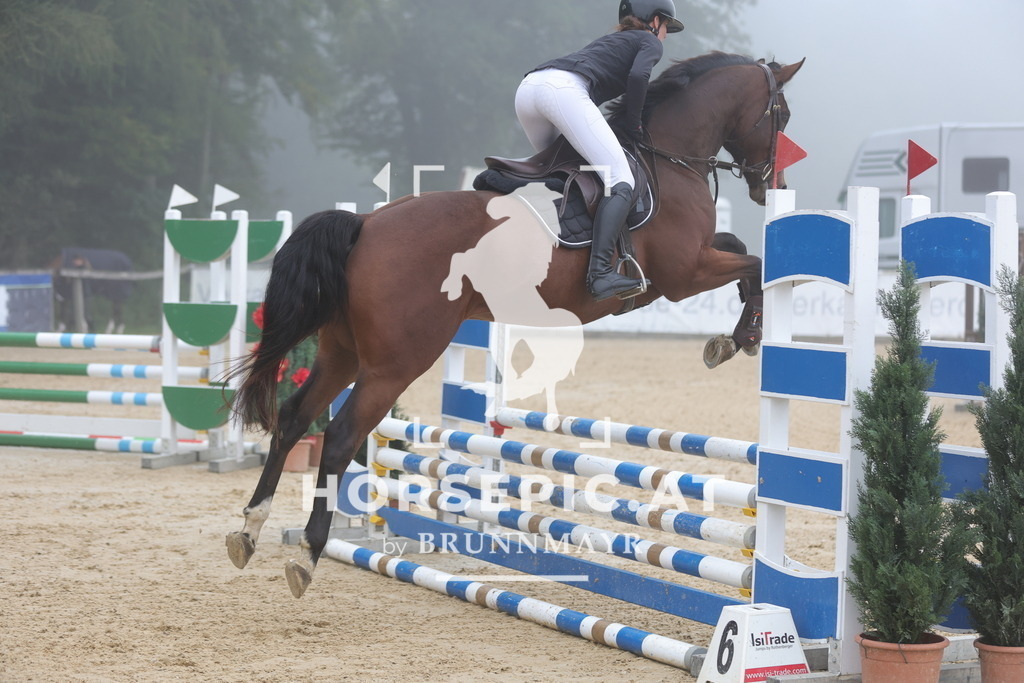 0P6A0490 | Willkommen bei Brunnmayr - Design & Fotografie – Ihrem Spezialisten für Reitturniere und Pferdeveranstaltungen in Oberösterreich, Salzburg und Bayern! Seit über 17 Jahren sind wir leidenschaftlich dabei.