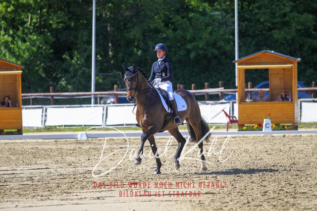 DKP42543 | Turniersportfotografie; Pferdefotografie; Dressurfotografie