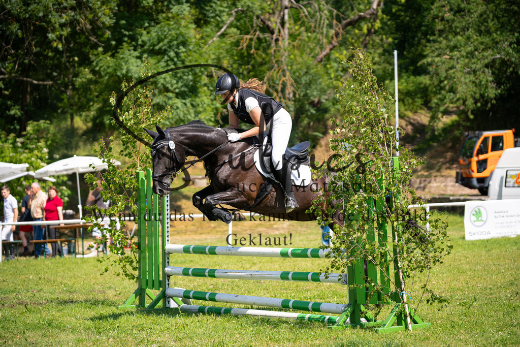 A7V05653 | Pferdefotograf