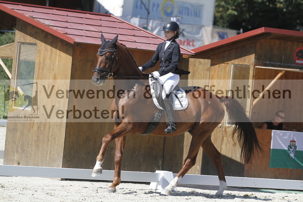 _MG_0130 | equestrian-live-com