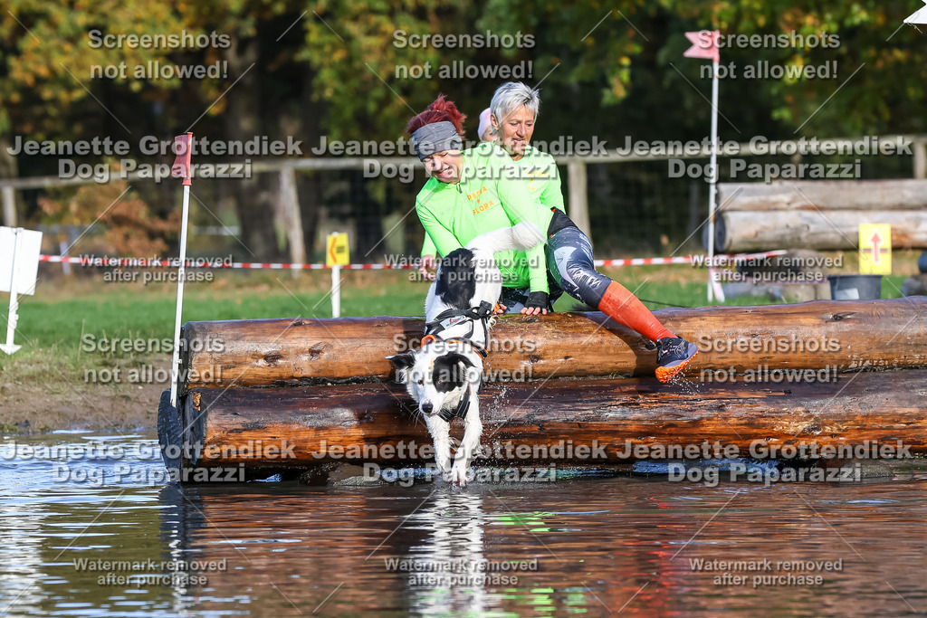 Dog Paparazzi - Strongdog 10-25-8495 | Dog Paparazzi Jeanette Grottendiek Fotografie & Videografie - Realisiert mit Pictrs.com