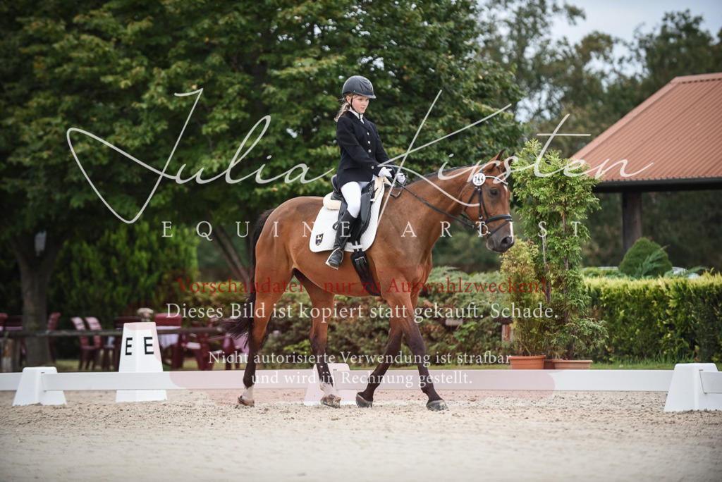 DSC_8016 | Pferde- und Turnierfotografie in Westsachsen. Pferdeportraits, Auftragszeichnungen und intuitive Kunst.