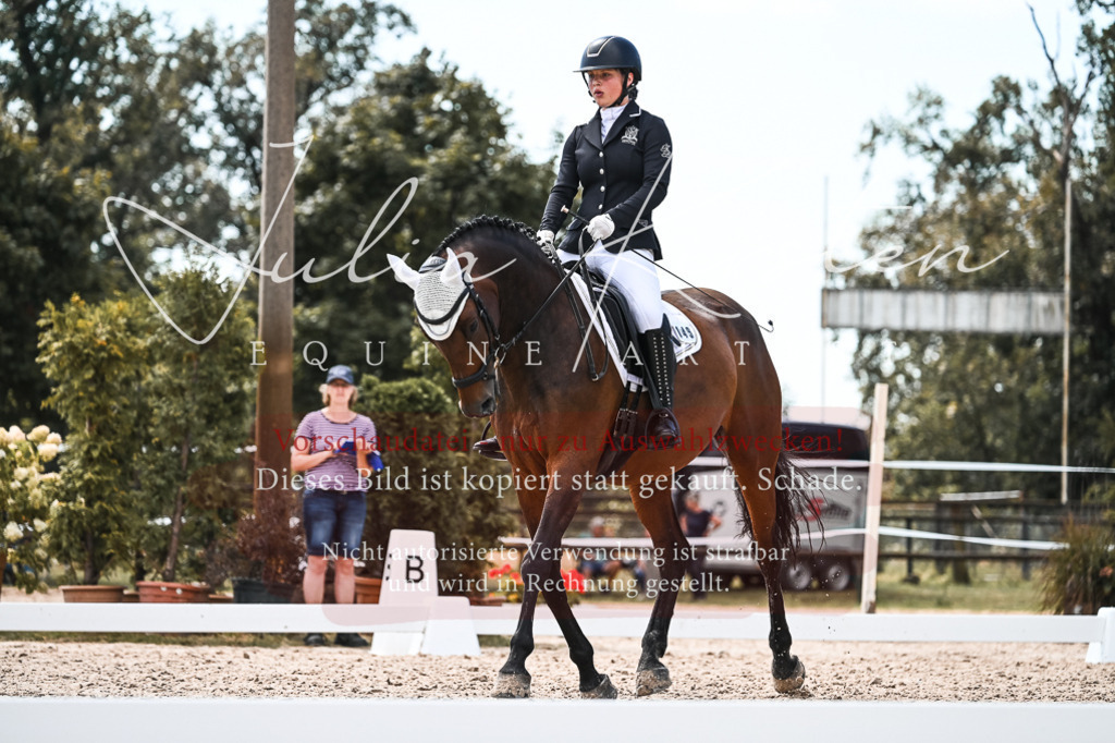 DSC_5675 | Pferde- und Turnierfotografie in Westsachsen. Pferdeportraits, Auftragszeichnungen und intuitive Kunst.