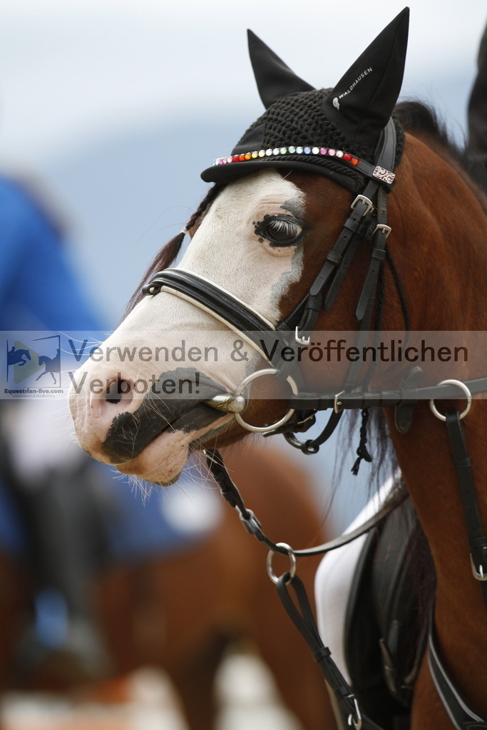 _MG_8274 | equestrian-live-com