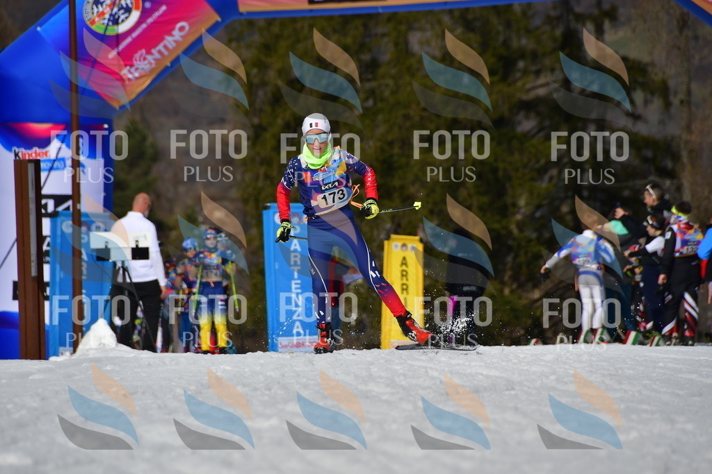 _DSC0635 | holidayphoto