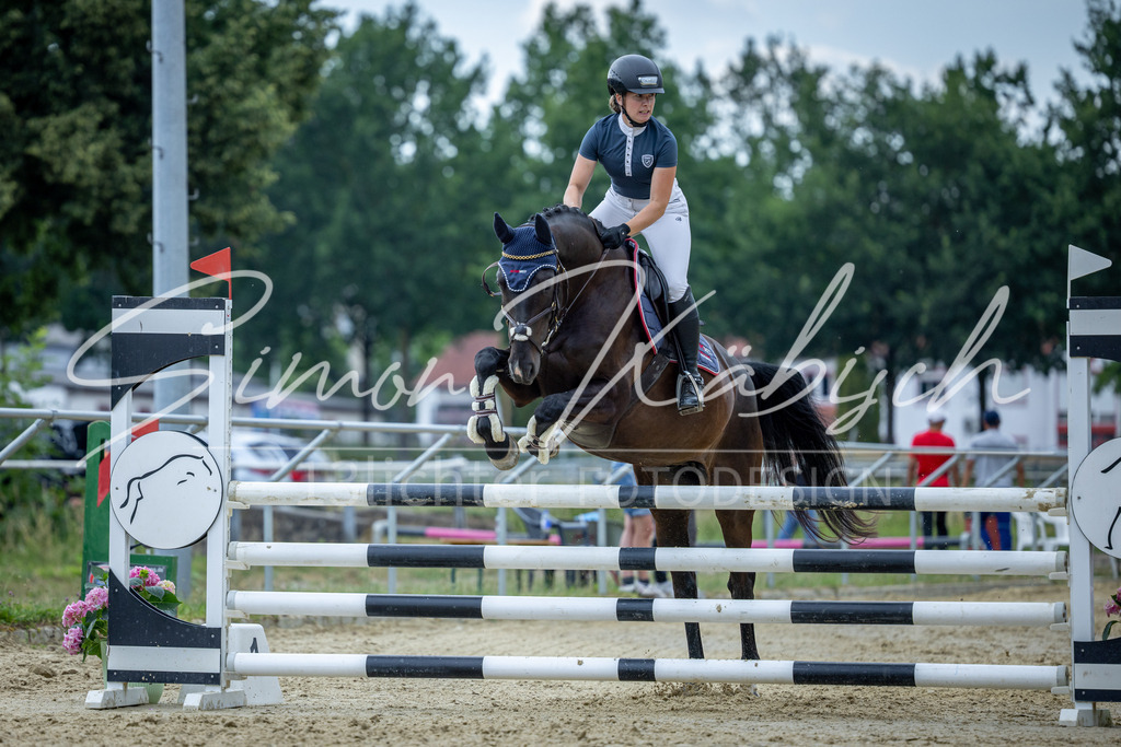 20260704-_3LI1726 | Tierfotografie Pferde, Hunde, Katzen, Haustiere.
Turnierfotografie Reitturniere, Reiten, Springreiten, Dressur in Hanau, dem Main-Kinzig-Kreis und dem Rhein-Main- Gebiet um Frankfurt