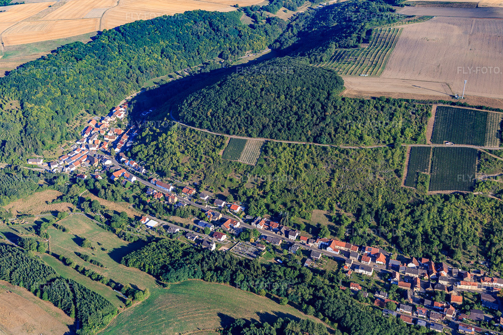 Luftbild: Ortsansicht unter den Weinbergen am Glan in Raumbach im Bundesland Rheinland-Pfalz in Deutschland. Foto: IMG_109873.jpg vom 06.08.2018 durch Werner Riehm/FLY-FOTO.de