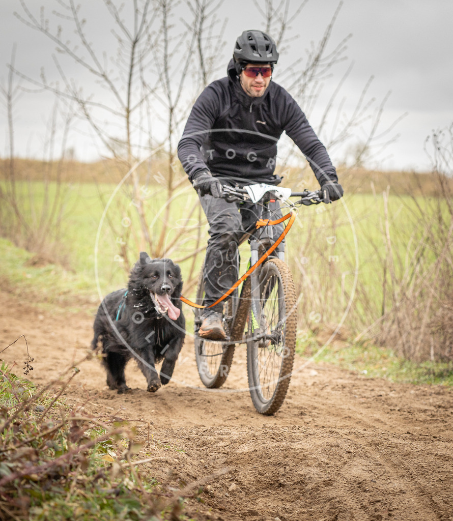 DV3A0962 | Hundefotografie, Tierfotograf, Pfotenfotografie, Fotoshooting Hund, Hunde Portrait, Hundesport, Hundeportraits, Heideshooting, Hunde, Sportfotograf, Hundefotograf, Turnierhundsport, THS,  - Realisiert mit Pictrs.com