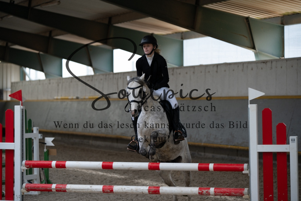 A7V03745 | Pferdefotograf