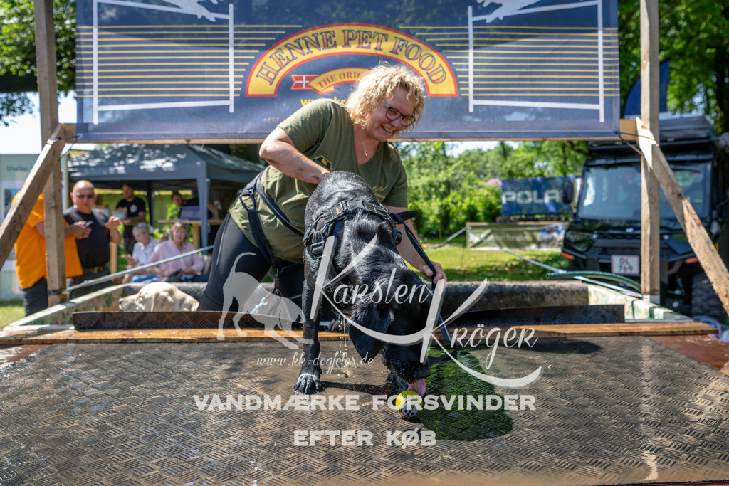 1224_ZZ91134 | kk-dogfotos