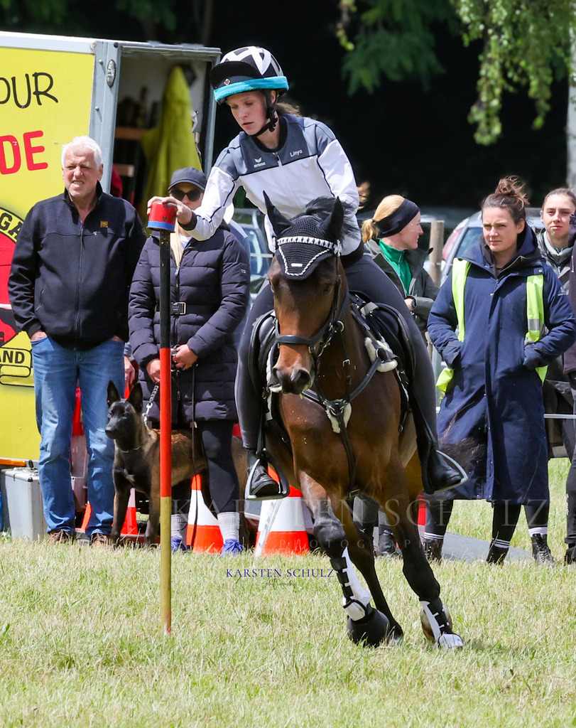 1B3A1069 | Reitsport Reiten