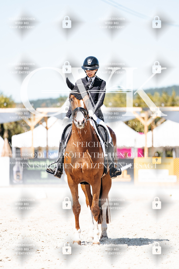 CK900478 | Turnierfotografie Pferdefotografie Trier Rheinland-Pfalz Pferdesport Reitsport Tierfotografie Sportfotografie Pferdevideo Pferdevideografie Equestrianvideography equestrianphotography  - Realisiert mit Pictrs.com