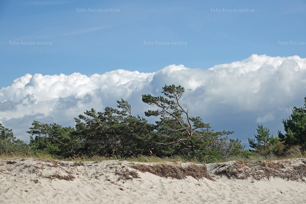 West Beach, Darß | foto-focus-online