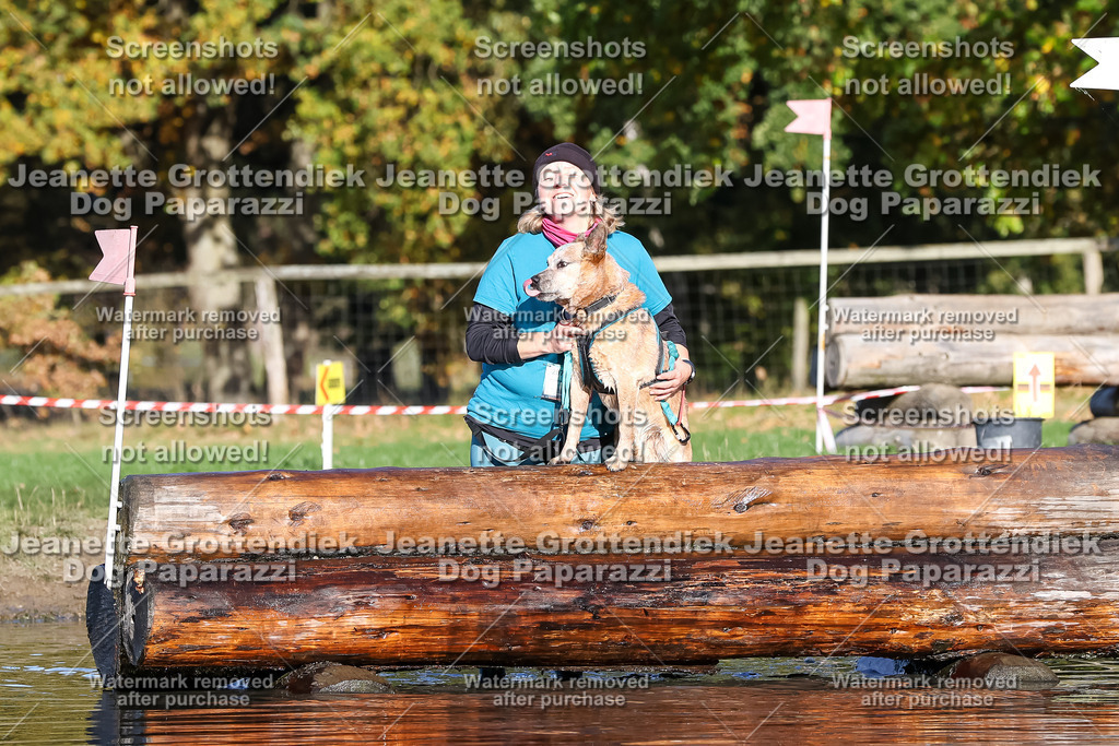 Dog Paparazzi - Strongdog 10-25-8725 | Dog Paparazzi Jeanette Grottendiek Fotografie & Videografie - Realisiert mit Pictrs.com