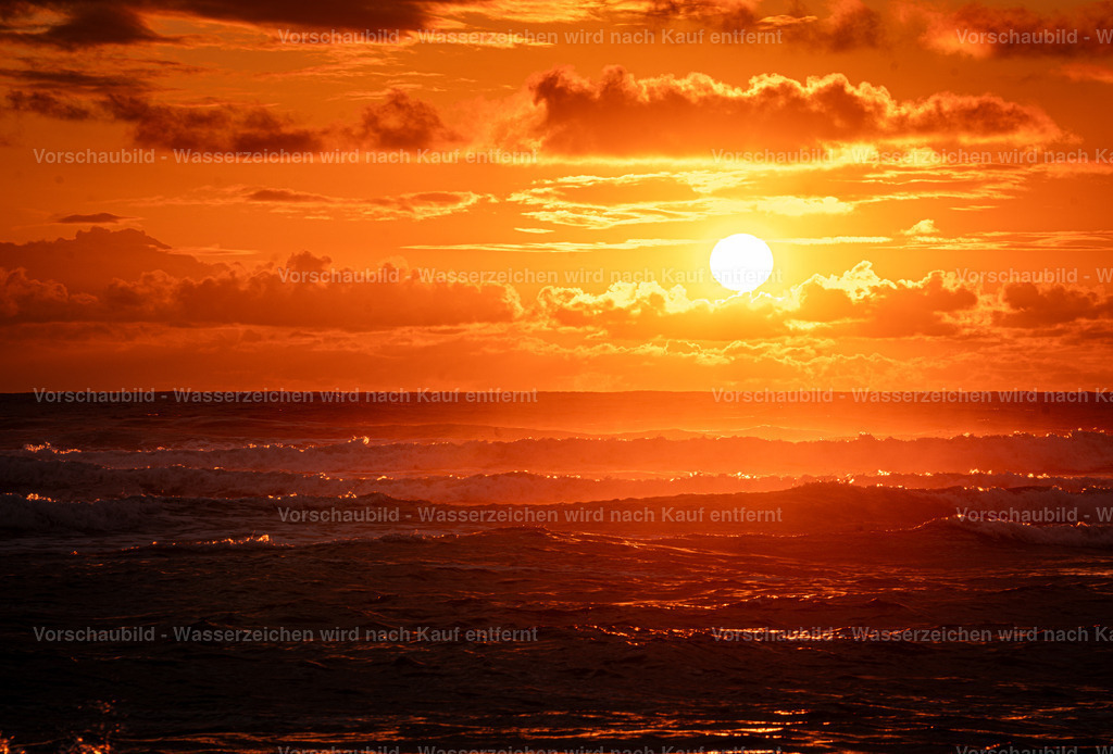 DSC02045 | marcuslinek