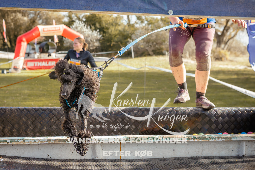 1422_ZZ94381-2 | kk-dogfotos