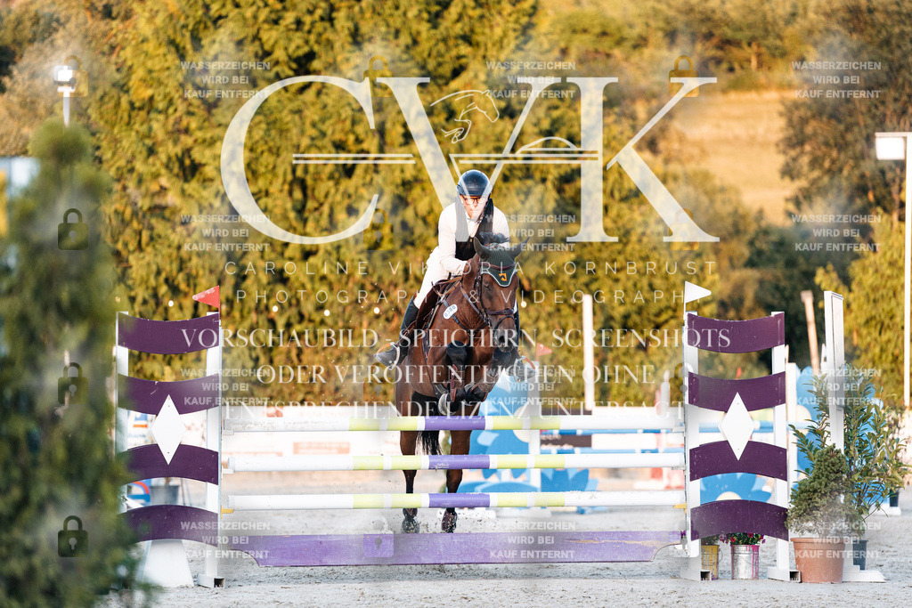 CK901301 | Turnierfotografie Pferdefotografie Trier Rheinland-Pfalz Pferdesport Reitsport Tierfotografie Sportfotografie Pferdevideo Pferdevideografie Equestrianvideography equestrianphotography  - Realisiert mit Pictrs.com
