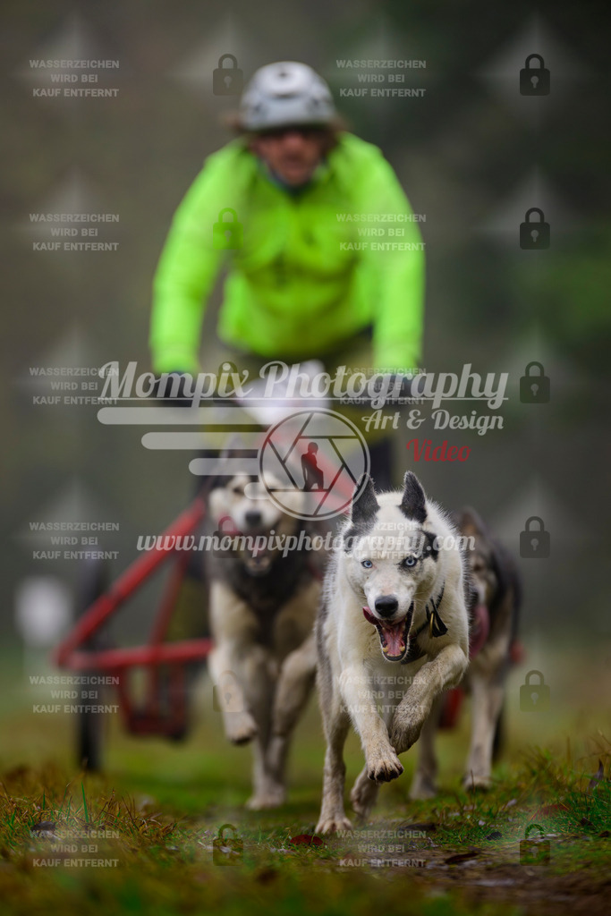 MompixPhotography_Bischwiller2025_Kart-28 | mompixphotography