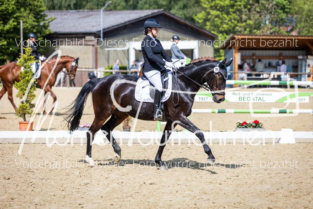 Donop24-L-Dre-030 | MomenTaufnahmen Pferdesportfotos