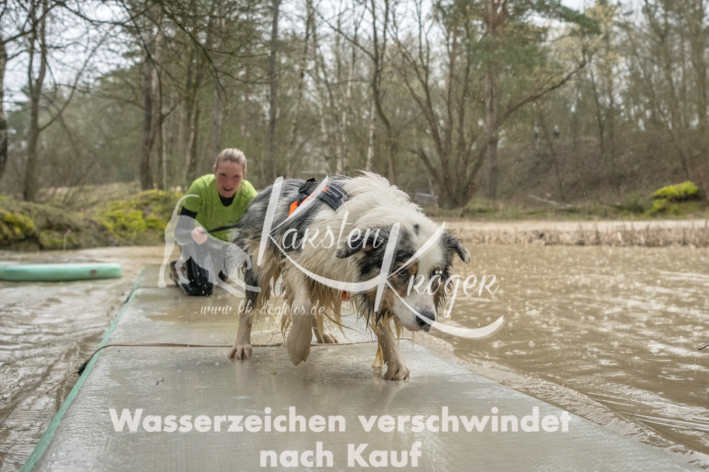 1046_ZZ93391-Bearbeitet | kk-dogfotos